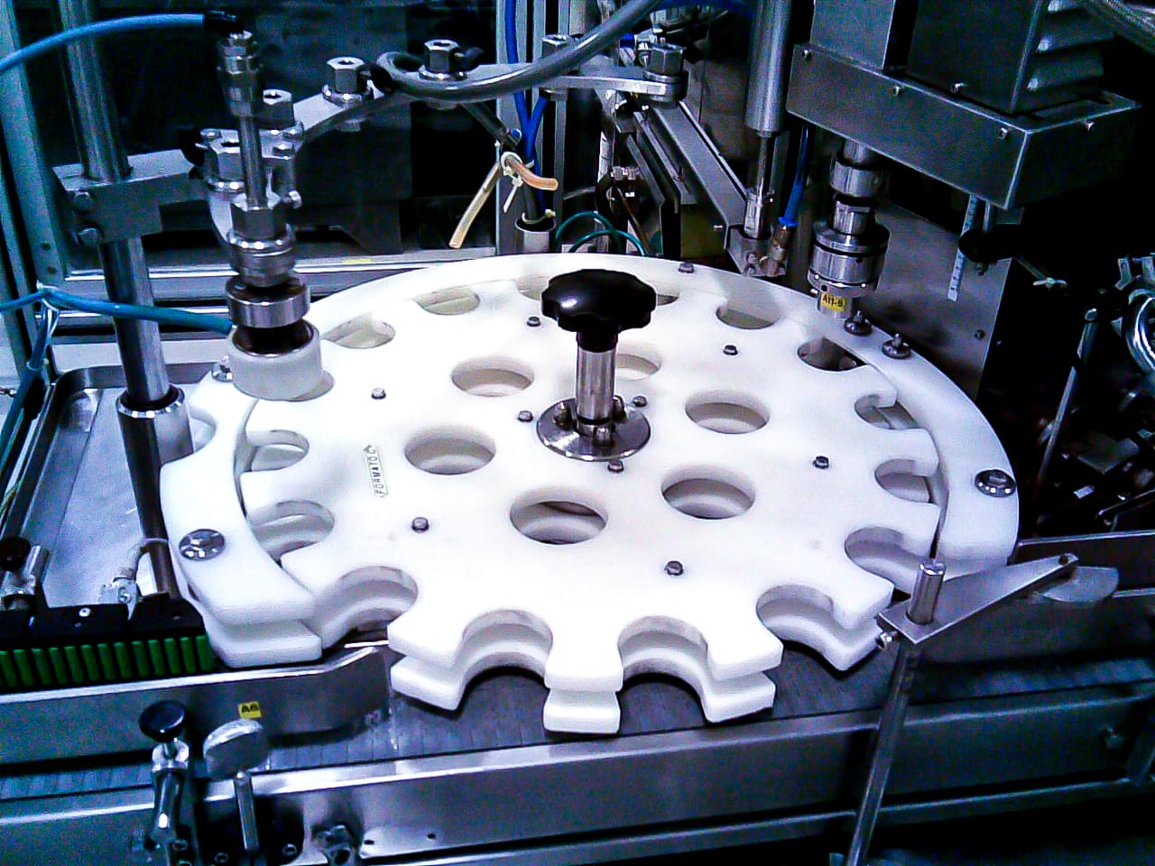 WhatsApp Image 2022-05-05 at 12.13.08.jpeg